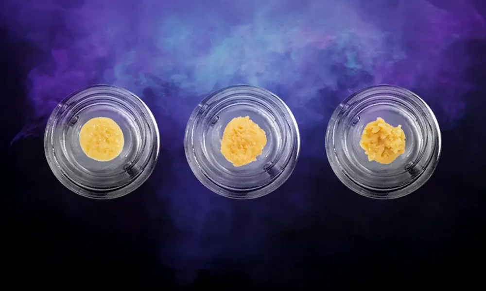 special 3303357 photo