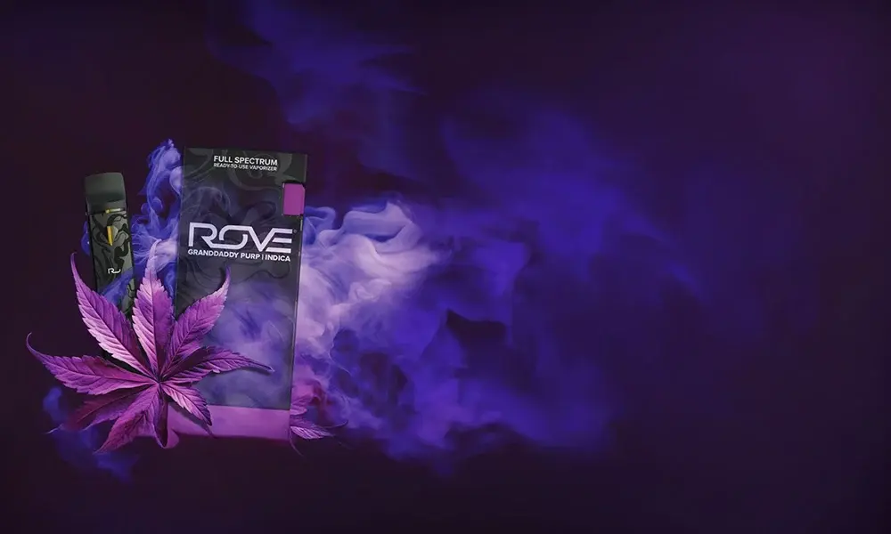 special 3370754 photo