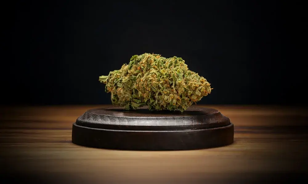 special 3299628 photo