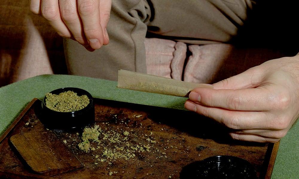 special 3374268 photo