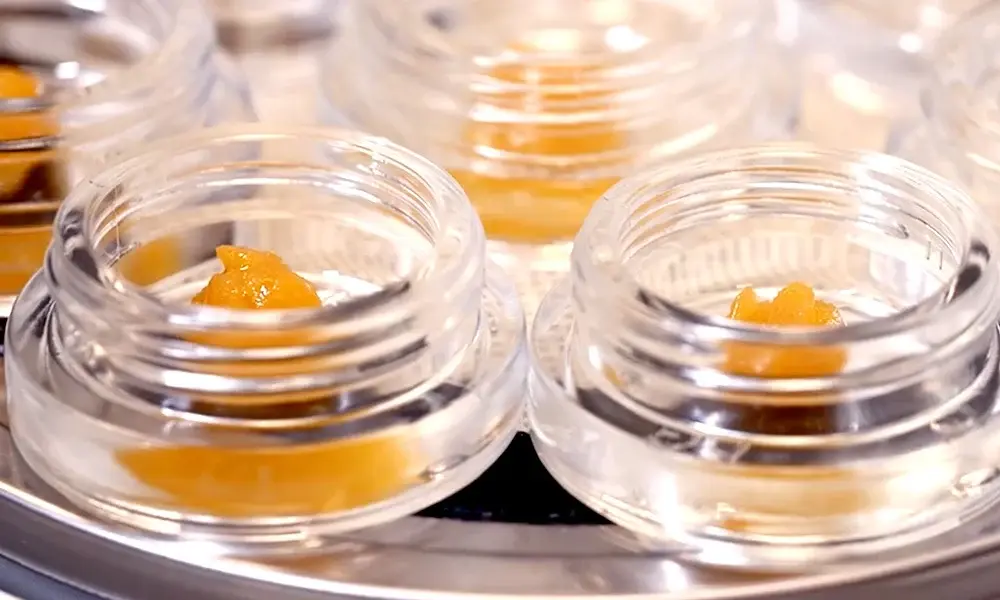 special 3341131 photo