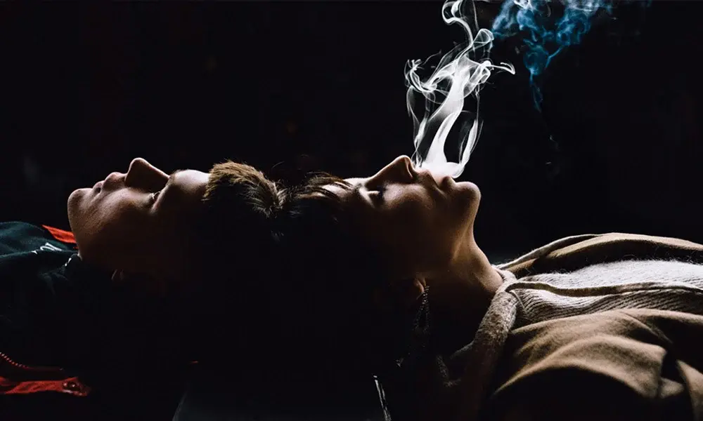 special 3365785 photo